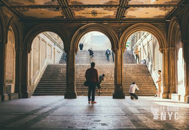 Bethesda Terrace
