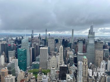 Vue sur Central Park