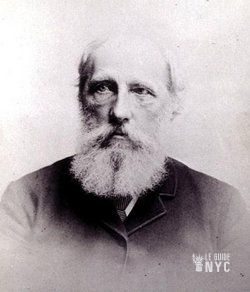 James Renwick Jr, Architecte