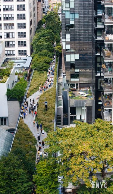 La High Line se faufilant entre les immeubles. New York