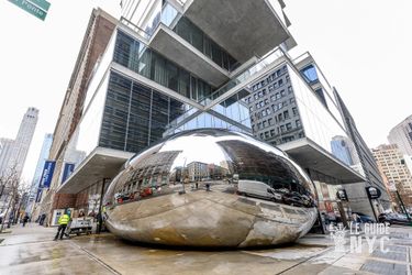 New York a aussi sa sculpture The Bean - Roy Rochlin