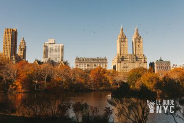 Paysage d'automne à Central Park. 