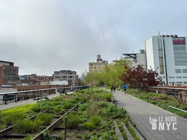 Anciens rails de la High Line