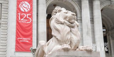 Patience & Fortitude : les lions gardiens de la New York Public Library
