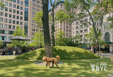 Jemmy's dog run, le premier dog park de New York