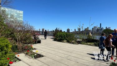 Vue sur le Brooklyn Bridge depuis The Elevated Acre