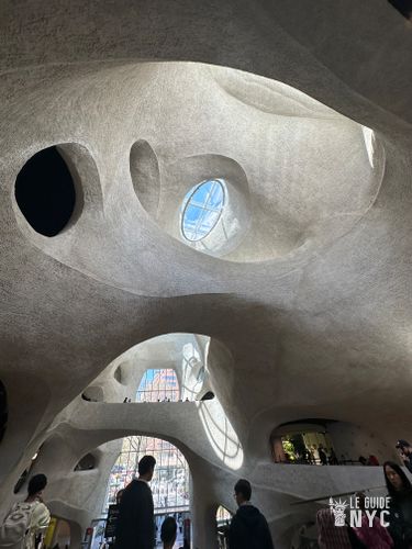 Richard Gilder Center, Musée d'Histoire Naturelle de New York