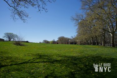 The Hills, ou comment un b&acirc;timent de 11 &eacute;tages est devenu colline