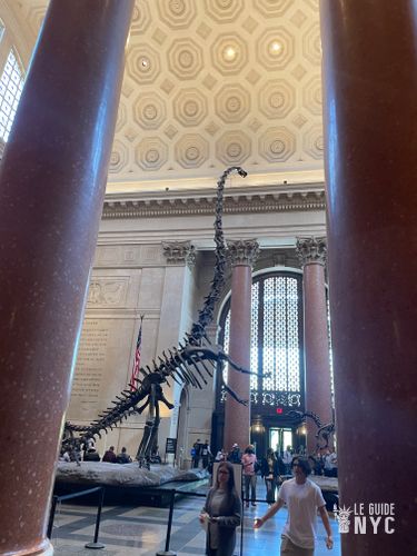 Rotunda, entrée principale du Musée d'Histoire Naturelle de New York