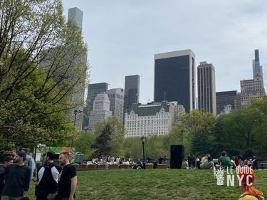 Le Plaza Hotel de New York, depuis Central Park