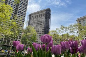 Madison Square Park