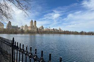 Earth Day &agrave; New York