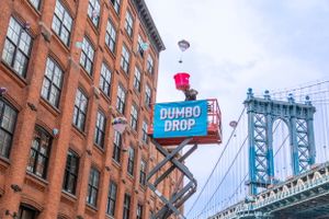 Dumbo Drop